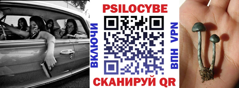 где найти   Нюрба  Псилоцибиновые грибы Psilocybine cubensis 